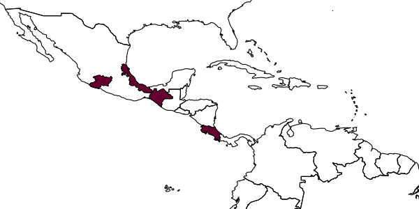 map of Perditorulus bilobus     Hansson, 1996